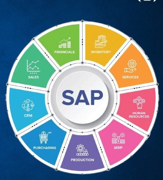 Maintenance of Finance SAP Modules